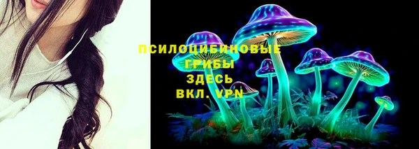 трава Алзамай