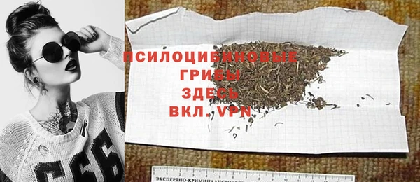 хмурый Алексеевка